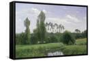 Canvas Black