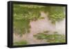 Claude Monet Water-Lilies 2 Art Print Poster-null-Framed Poster