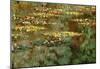 Claude Monet Water-Lilies 8 Art Print Poster-null-Mounted Poster