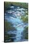 Claude Monet Water Lilies in Pond-null-Stretched Canvas