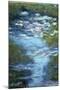 Claude Monet Water Lilies in Pond-null-Mounted Poster