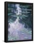 Essential Black