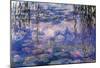 Claude Monet Water Lilies with Clouds Art Poster Print-null-Mounted Poster