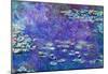 Claude Monet Water Lily Pond #3 Art Print Poster-null-Mounted Poster
