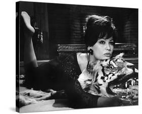 Claudia Cardinale - The Pink Panther-null-Stretched Canvas