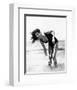 Claudia Cardinale-null-Framed Photo