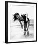 Claudia Cardinale-null-Framed Photo