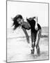 Claudia Cardinale-null-Mounted Photo