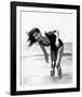 Claudia Cardinale-null-Framed Photo