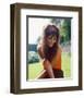 Claudia Cardinale-null-Framed Photo