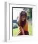 Claudia Cardinale-null-Framed Photo