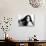 Claudia Cardinale-null-Photographic Print displayed on a wall