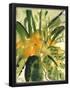 Essential Black