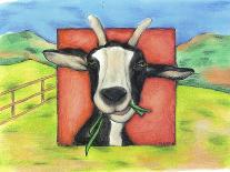 Farmhouse Pig-Claudia Interrante-Stretched Canvas