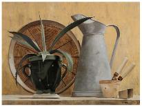 Nature Morte a l'Arrosoir-Claudine Picard-Mounted Art Print