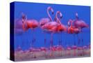 Stretched Canvas
