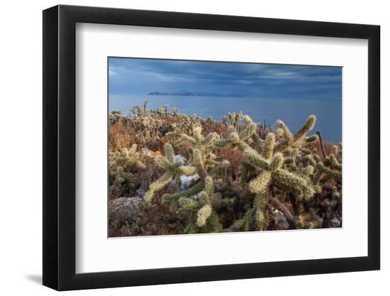 Photographic Print, , large