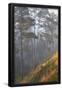Essential Black