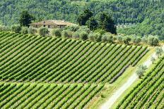 Summer Landscape in Monferrato (Italy)-Claudiogiovanni-Stretched Canvas