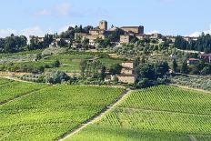 Summer Landscape in Monferrato (Italy)-Claudiogiovanni-Framed Photographic Print