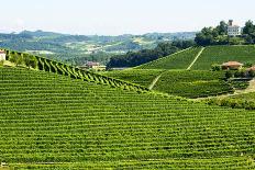 Summer Landscape in Monferrato (Italy)-Claudiogiovanni-Framed Photographic Print