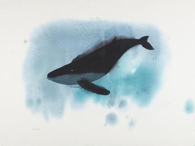 Aqua Deep Whale