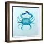 Claw Buddies II-Ann Marie Coolick-Framed Art Print