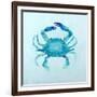 Claw Buddies II-Ann Marie Coolick-Framed Art Print