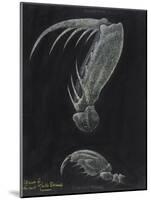 Claws of Locust Mantis Shrimp-Philip Henry Gosse-Mounted Giclee Print