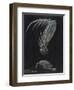 Claws of Locust Mantis Shrimp-Philip Henry Gosse-Framed Premium Giclee Print