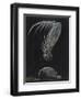 Claws of Locust Mantis Shrimp-Philip Henry Gosse-Framed Premium Giclee Print