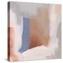 Clay Blush II-Grace Popp-Stretched Canvas