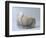 Clay Fragment, Italy, Vittimuli of Civilization BC-null-Framed Giclee Print