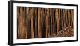 Clay organ pipes formation in front of the village of Yara, Mustang Region, Nepal-null-Framed Photographic Print