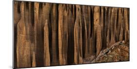 Clay organ pipes formation in front of the village of Yara, Mustang Region, Nepal-null-Mounted Photographic Print