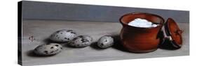 Clay Pot and Quail Eggs, 2008-James Gillick-Stretched Canvas