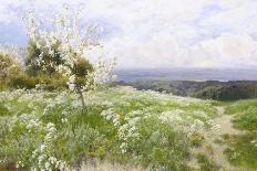 Spring Blossom-Clayton Adams-Framed Stretched Canvas