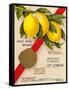 Clayton & Jowett, Liverpool, "Essence Of Lemon" Advert, 1948-Mikeyashworth-Framed Stretched Canvas