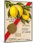Clayton & Jowett, Liverpool, "Essence Of Lemon" Advert, 1948-Mikeyashworth-Mounted Art Print