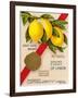 Clayton & Jowett, Liverpool, "Essence Of Lemon" Advert, 1948-Mikeyashworth-Framed Art Print