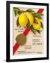 Clayton & Jowett, Liverpool, "Essence Of Lemon" Advert, 1948-Mikeyashworth-Framed Art Print