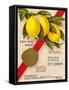 Clayton & Jowett, Liverpool, "Essence Of Lemon" Advert, 1948-Mikeyashworth-Framed Stretched Canvas