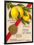 Clayton & Jowett, Liverpool, "Essence Of Lemon" Advert, 1948-Mikeyashworth-Framed Art Print