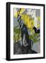Black Frame
