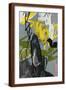 Brown Frame