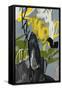 Canvas Black