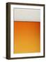 Clean Beer and Froth Background (All in Focus)-Johan Swanepoel-Framed Photographic Print