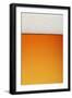 Clean Beer and Froth Background (All in Focus)-Johan Swanepoel-Framed Photographic Print