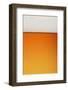 Clean Beer and Froth Background (All in Focus)-Johan Swanepoel-Framed Photographic Print