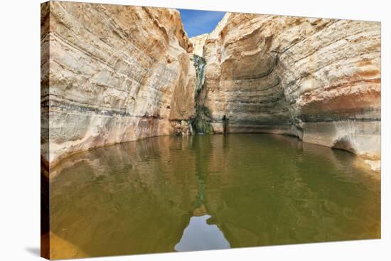 Clean Cold Water in the Creek Canyon. Sandstone Walls Apart, like Butterfly Wings. Picturesque Cany-kavram-Stretched Canvas